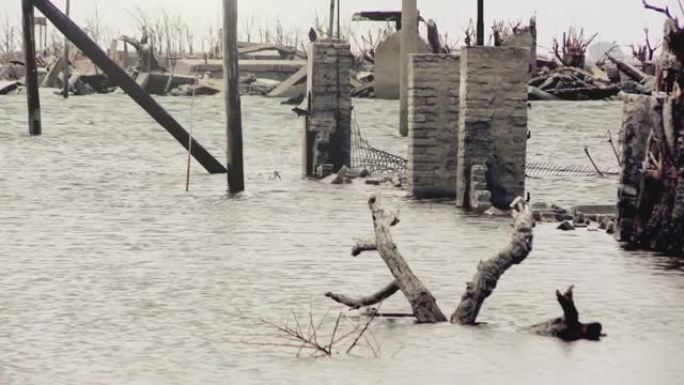 南美洲阿根廷布宜诺斯艾利斯省埃皮库恩废弃的洪水城市枯死的树木和被毁的建筑。鬼城。4k分辨率。