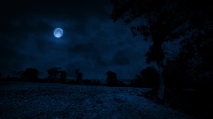 满月下的农场一轮明月黑暗夜色