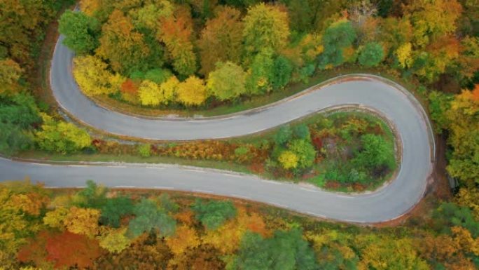 空中，自上而下: 在秋天的彩色树木之间的蛇形道路上急转弯