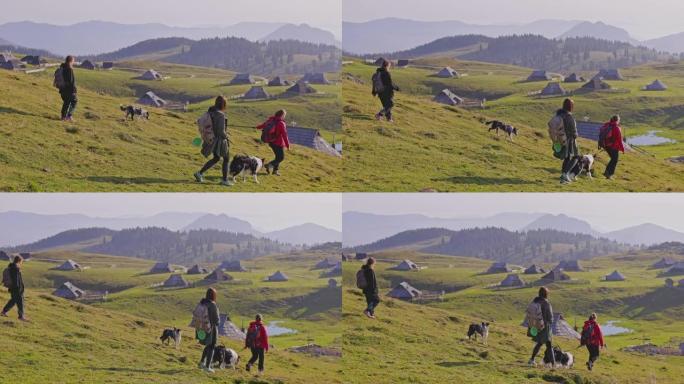 年轻妇女与宠物狗在山坡上散步