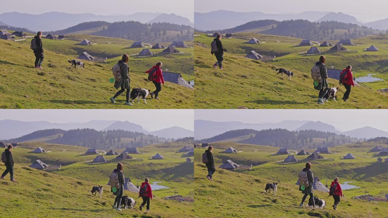 年轻妇女与宠物狗在山坡上散步