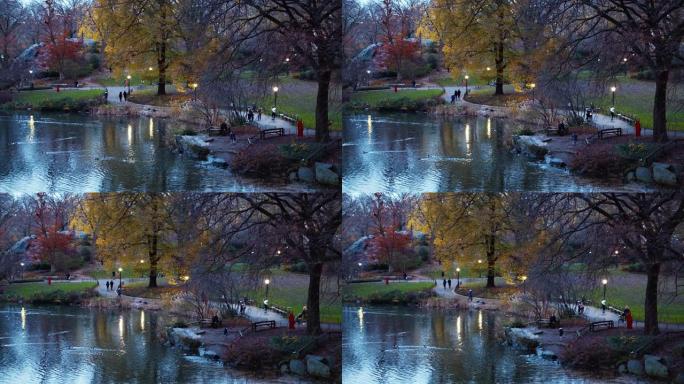 纽约中央公园的池塘