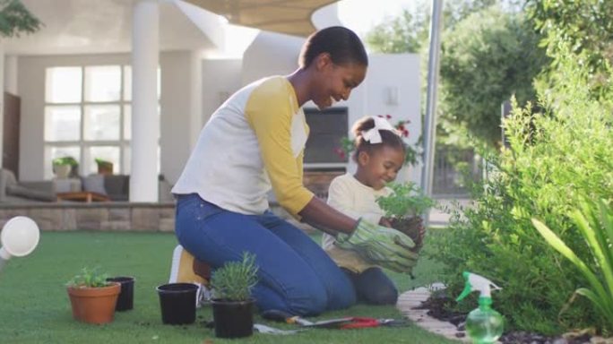快乐的非洲裔美国母女园艺，在花园里种植植物