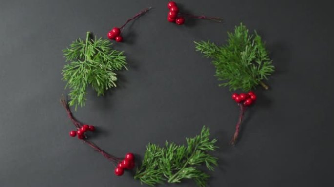 黑色背景上带有红色浆果和复制空间的圣诞装饰小枝视频