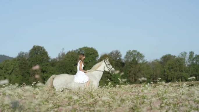 复制空间: 快乐的年轻女子光着背骑着种马经过一片盛开的田野。
