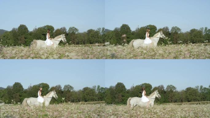 复制空间: 快乐的年轻女子光着背骑着种马经过一片盛开的田野。