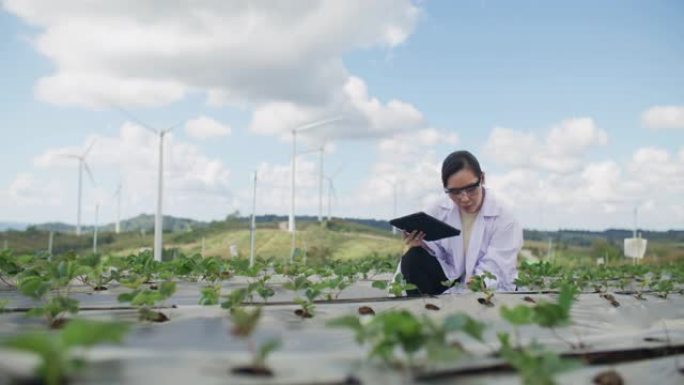 科学家在农场的质量控制