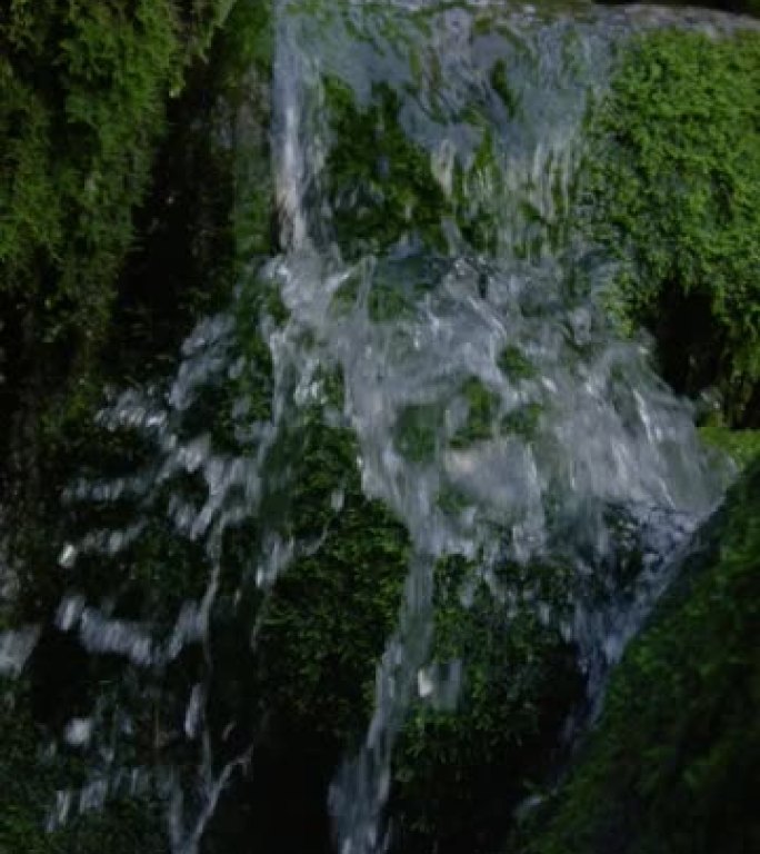 垂直，dop: 闪闪发光的清澈河水流过长满苔藓的岩石。