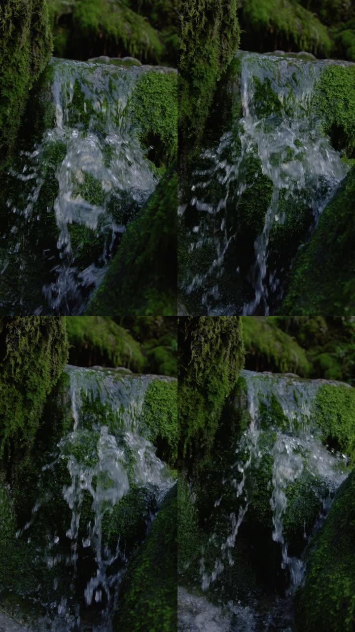 垂直，dop: 闪闪发光的清澈河水流过长满苔藓的岩石。