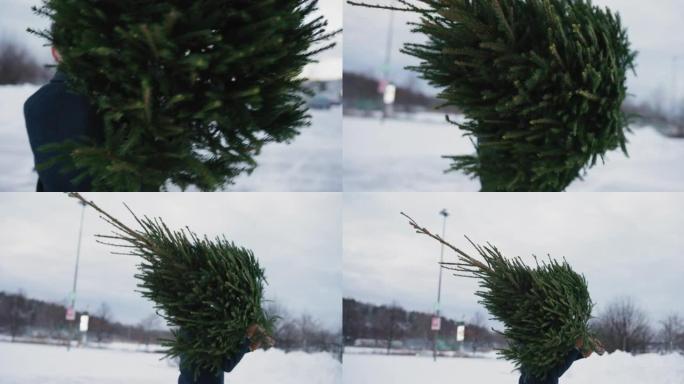 为圣诞节背着一棵树