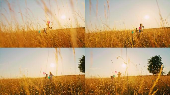 SLO MO兄弟姐妹在黄金时段用气球在草地上奔跑