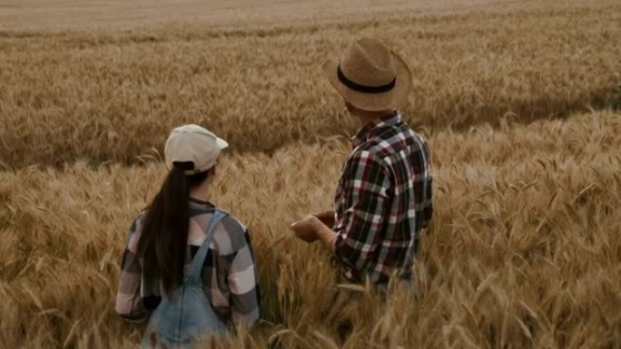 一名农民站在成熟的麦田里，向一名年轻女子展示他的农场