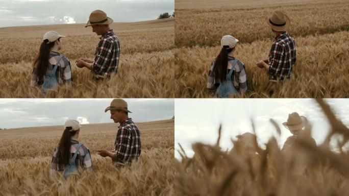 一名农民站在成熟的麦田里，向一名年轻女子展示他的农场