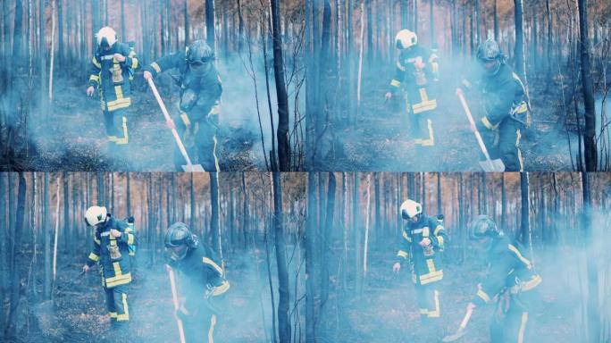 消防员正在扑灭树林中残留的大火