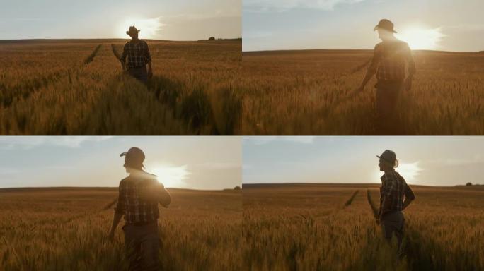 日落时分，法默在成熟的麦田里散步时，他向空中举起双臂
