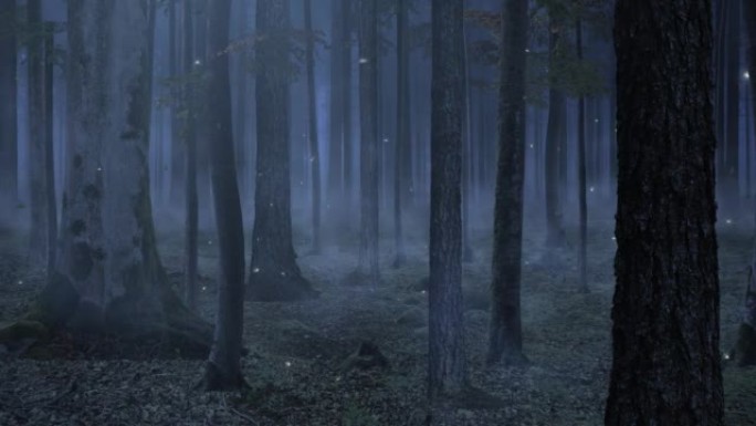 森林动画中的萤火虫