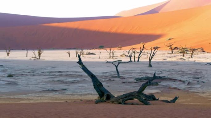 非洲纳米比亚白土和风景优美的沙丘中的WS Deadvlei树