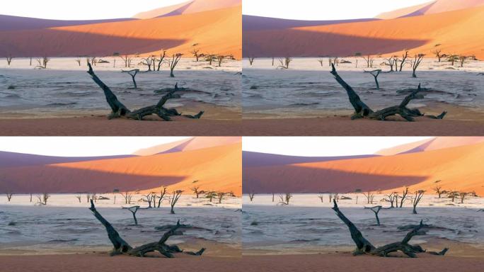 非洲纳米比亚白土和风景优美的沙丘中的WS Deadvlei树