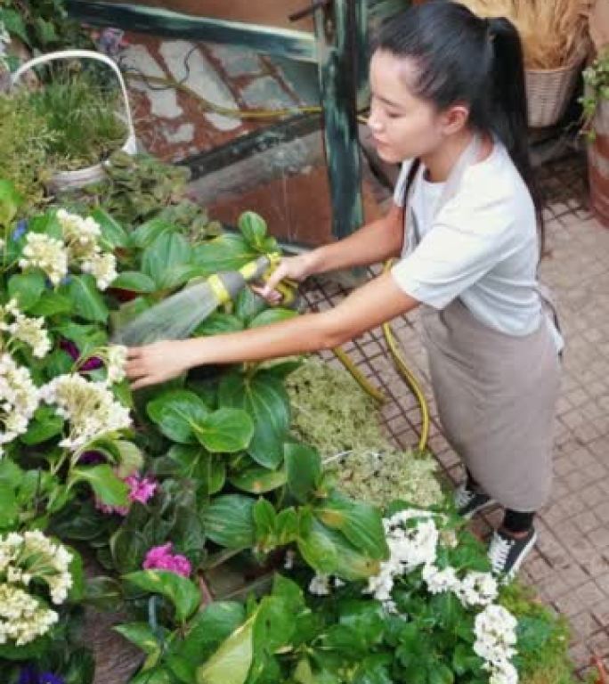 女花店保持植物的良好状态。