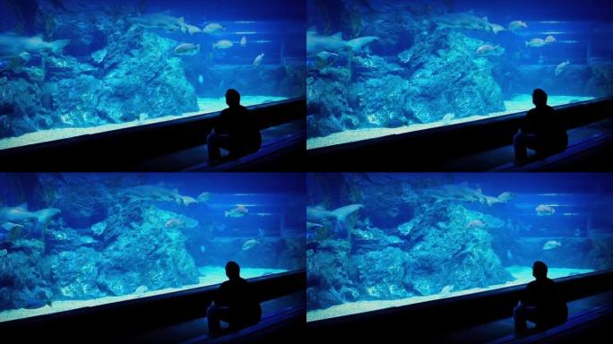 男子在水族馆里透过玻璃看鱼