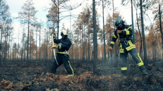 消防员正在处理残留的林地大火