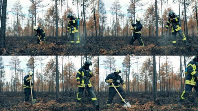 消防员正在处理残留的林地大火