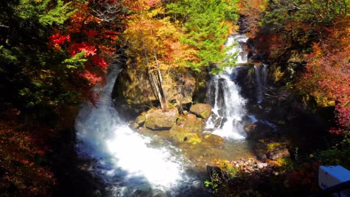 秋天的森林变化中的瀑布，日本的日光自然