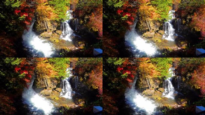 秋天的森林变化中的瀑布，日本的日光自然