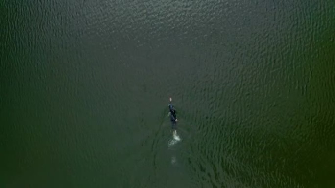 男子在湖中游泳冬泳水库游泳自由泳