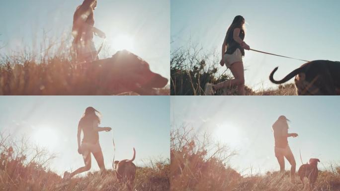 4k视频片段，一个无法识别的女人在白天与她的狗一起徒步旅行