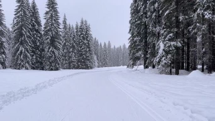 通往被雪覆盖的雄伟山谷的小路