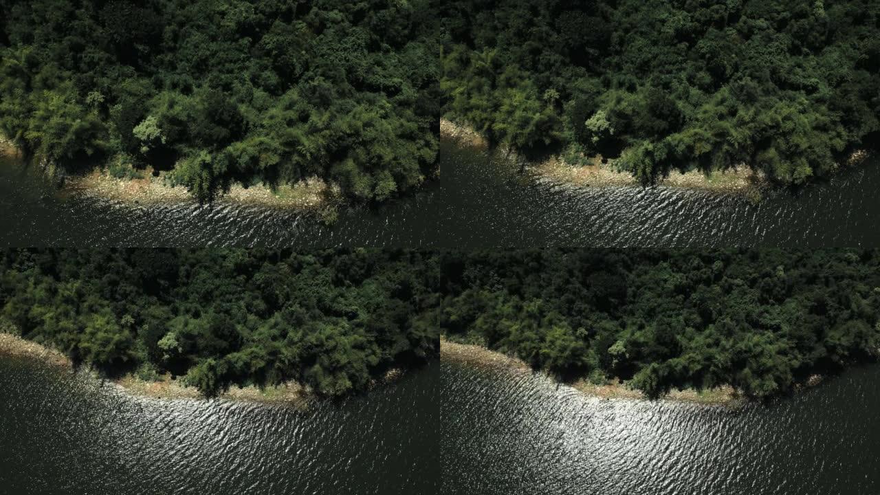 无人机拍摄的森林中有河流和湖泊
