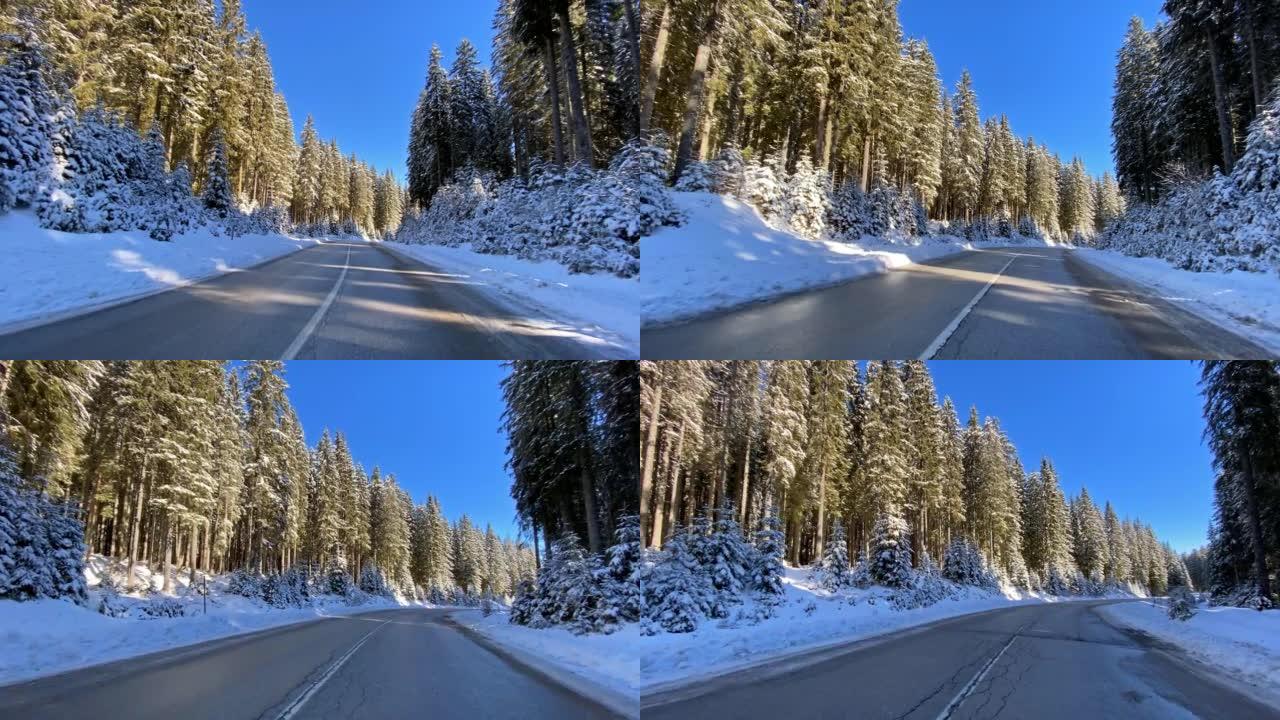 在积雪覆盖的森林中的冬季道路上行驶