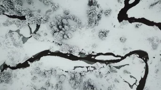 冬季河的鸟瞰图黑白航拍冰雪大雪雪景