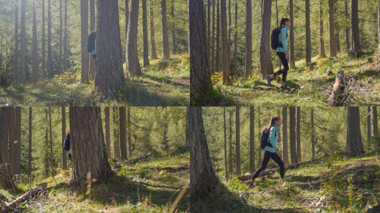 健康的女运动员在充满活力的绿色森林徒步旅行时保持健康并获得新鲜空气