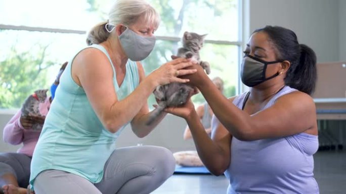 与猫一起上瑜伽课的妇女，戴着口罩