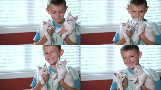 男孩抱着两只蓝色眼睛的白色小猫