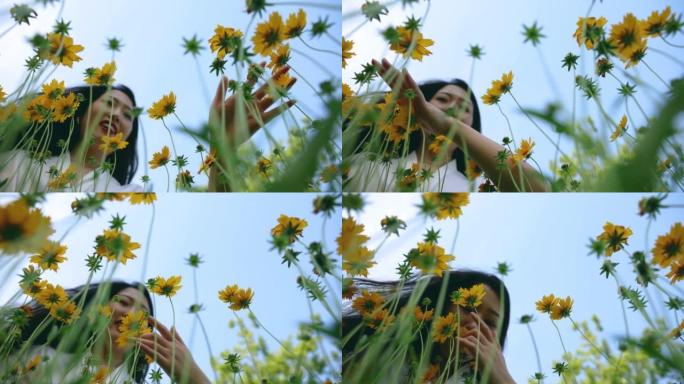 女人在黄色的花田里抚摸花朵