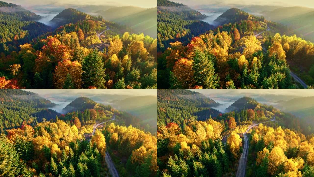 山里绚丽多彩的秋天。空中拍摄红色和黄色的秋树，雾蒙蒙的山脉和温暖的早晨的阳光。UHD, 4K