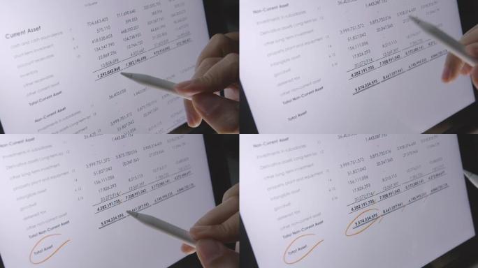 税务咨询审计员审核资产负债表财务数据报告。