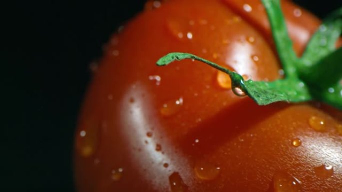 带尾番茄的宏观特写