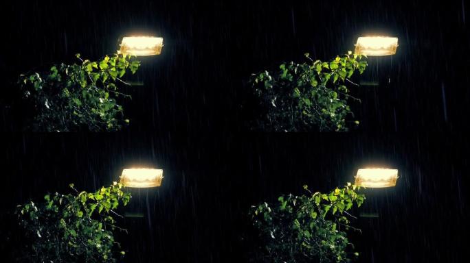 暴雨中的城市路灯