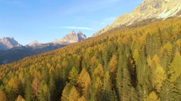 无人机: 意大利山区秋季彩色树林的惊人航拍