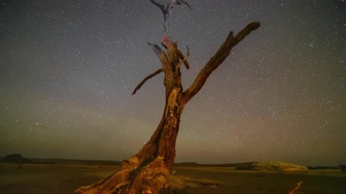 非洲纳米比亚星空下的WS延时Deadvlei树