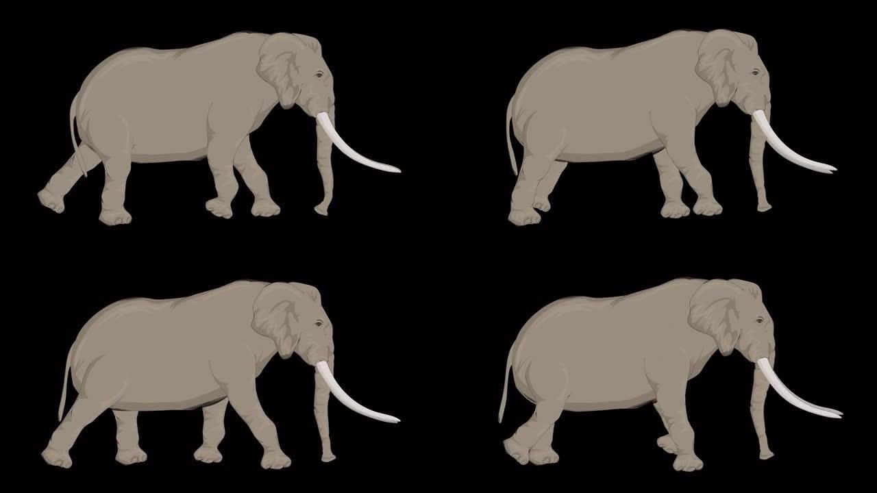 运行大象卡通动画 (透明背景/ProRes 4444) 的概念动物，野生动物，游戏，返校，3d动画，