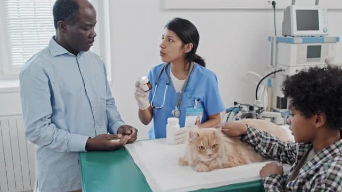 兽医处方治疗猫的药物