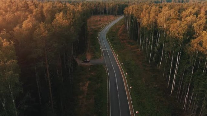 日落时森林里的路。航拍视频