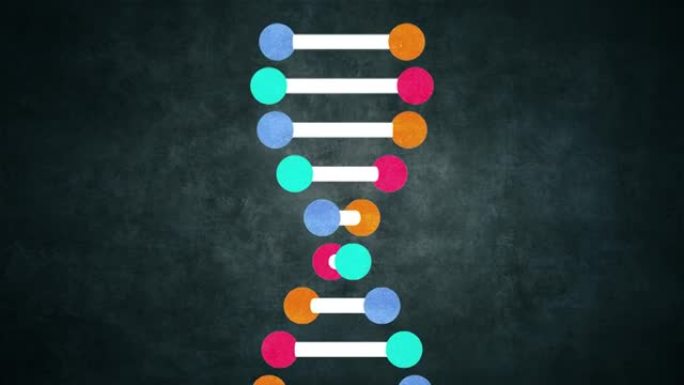 遗传DNA和RNA结构-腺嘌呤胸腺嘧啶鸟嘌呤胞嘧啶