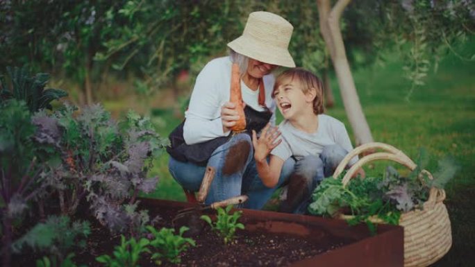 和奶奶一起园艺外国人外国人种花种植胡萝卜