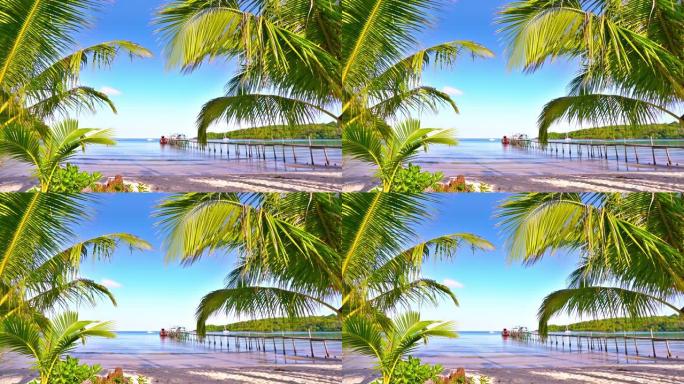 码头。热带海滩。棕榈树。奢华